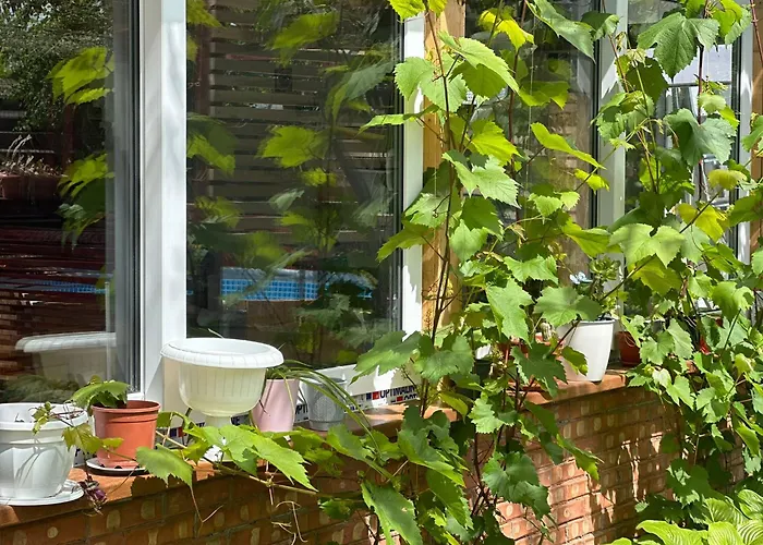 Casa La Romanas Pansiyon *